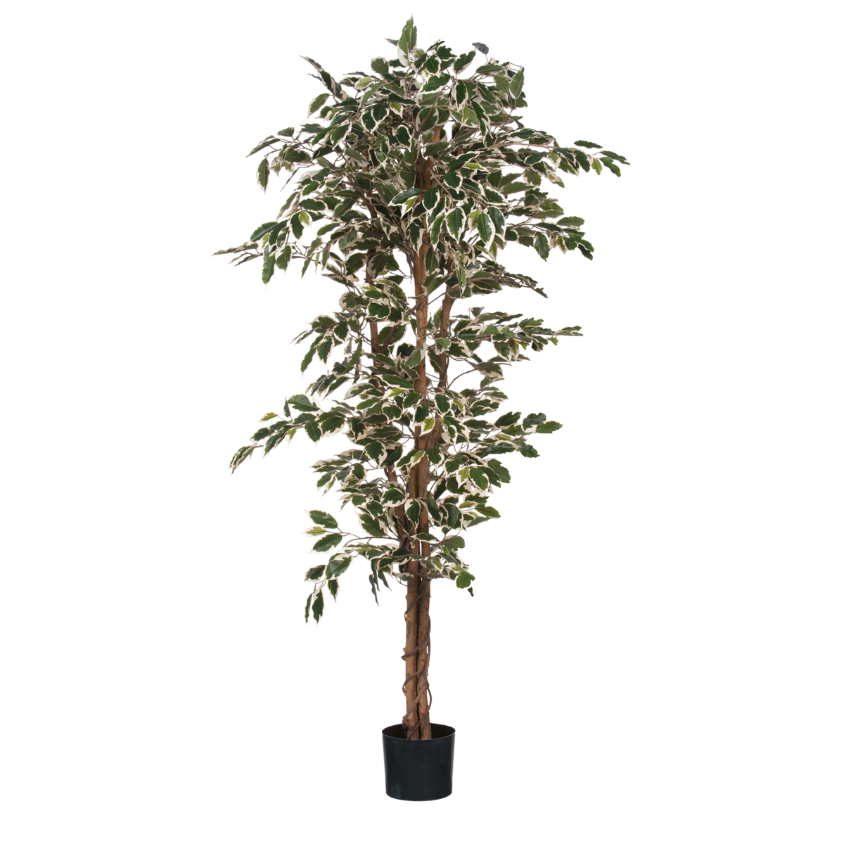 Ficus Kunstplant H180 x Ø90