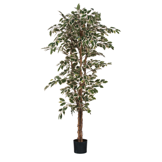 Ficus Kunstplant H180 x Ø90