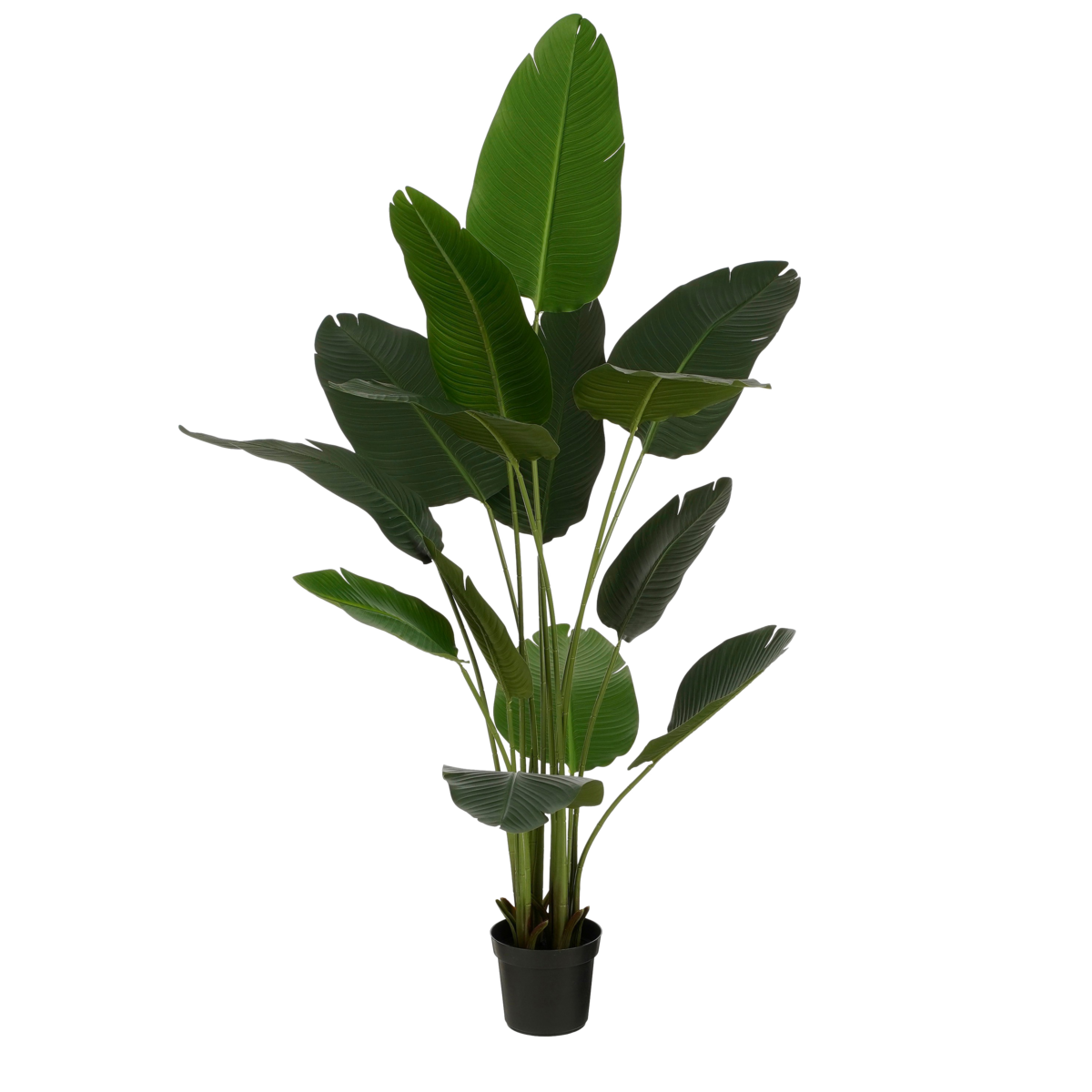 Kunstplant Bananenboom H180 x Γ30
