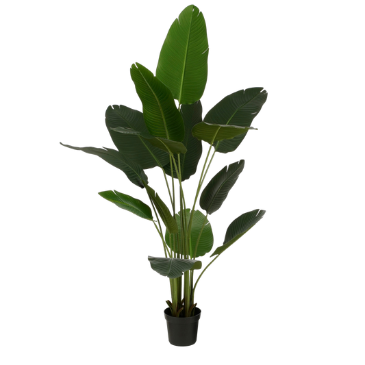 Kunstplant Bananenboom H180 x Ø30