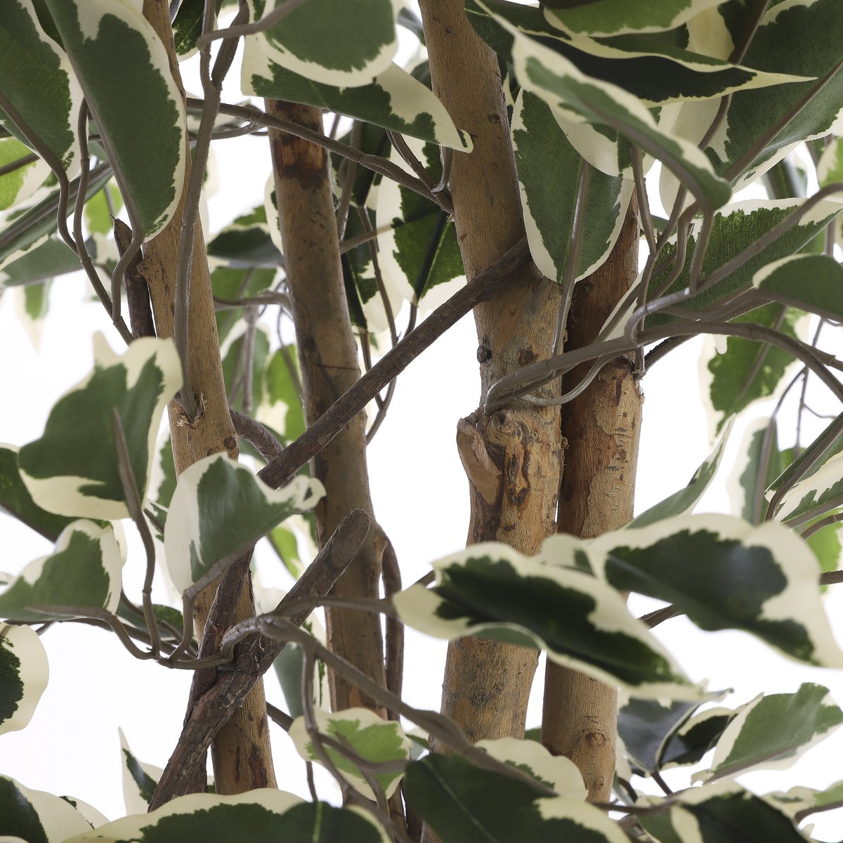 Ficus Kunstplant H150 x Ø75