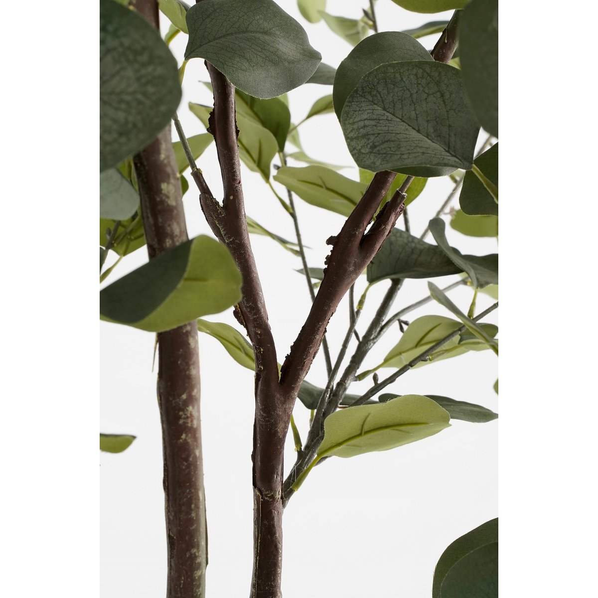 Kunstplant Eucalyptusboom in Pot