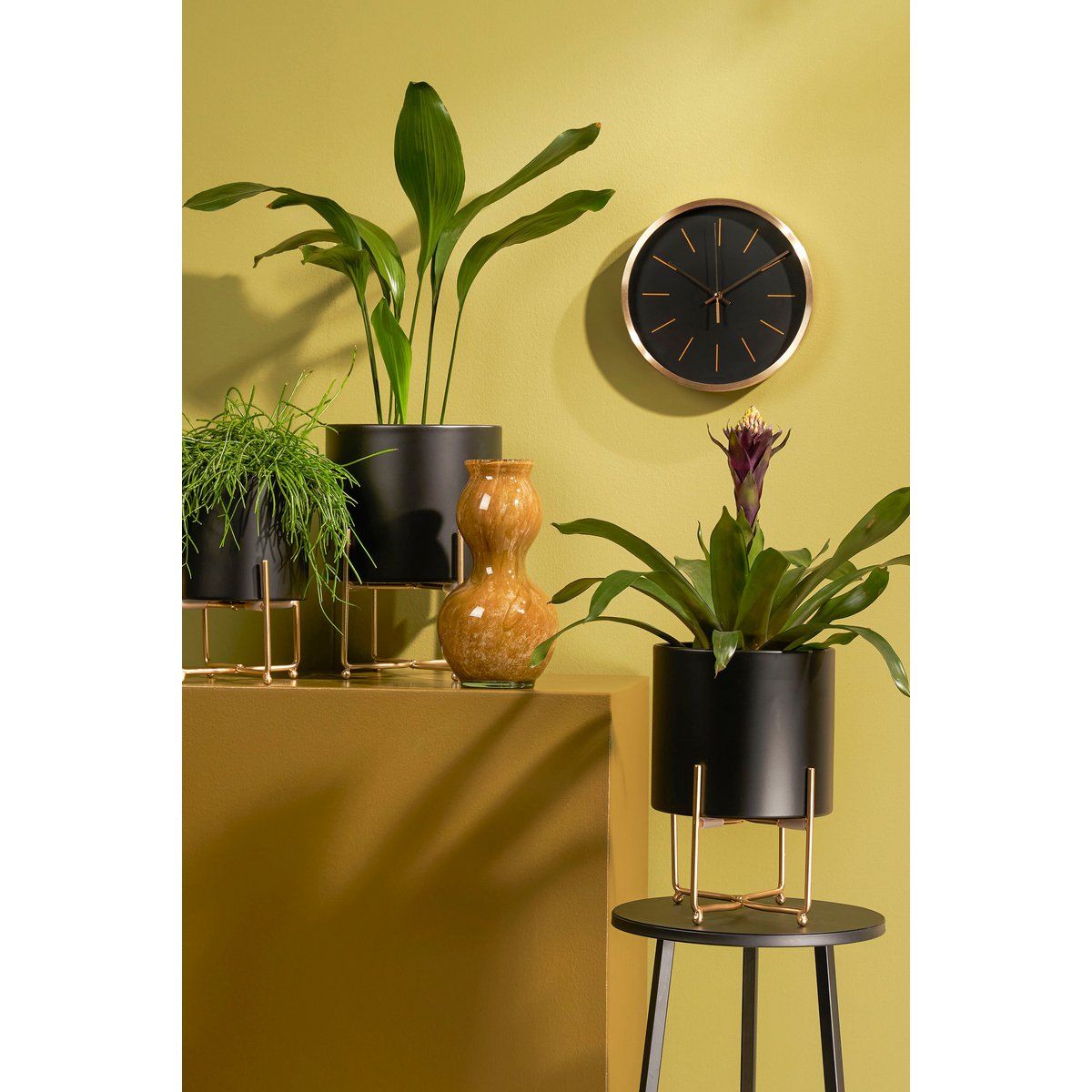 Aries Bloempot op Standaard Set van 3 Zwart Laag