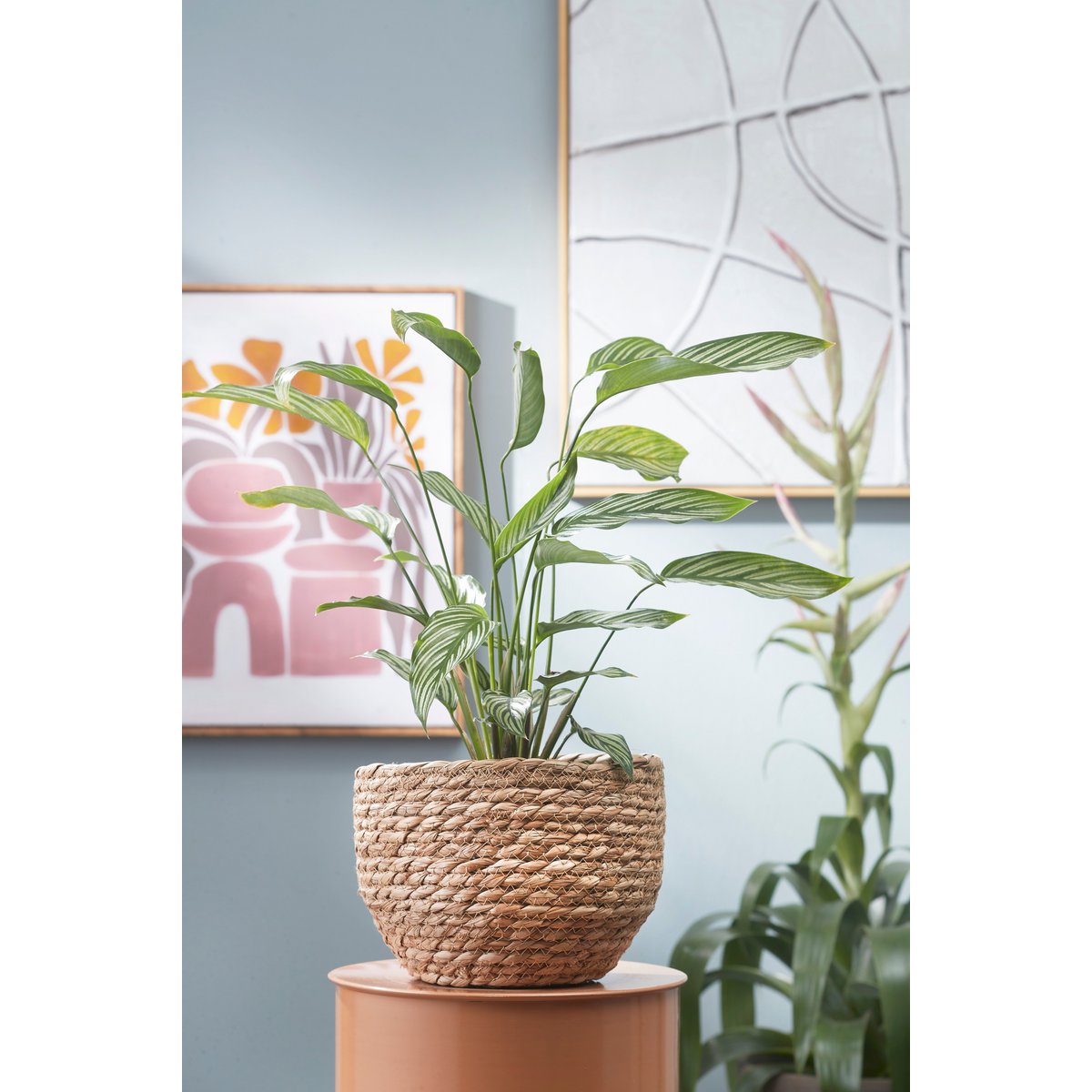 Jorck Pure Plantenmand Set van 3 Lichtbruin