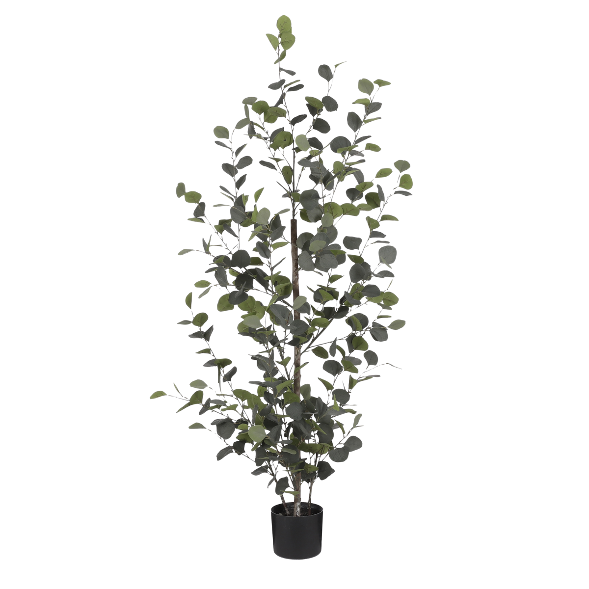 Eucalyptus Kunstplant in Bloempot