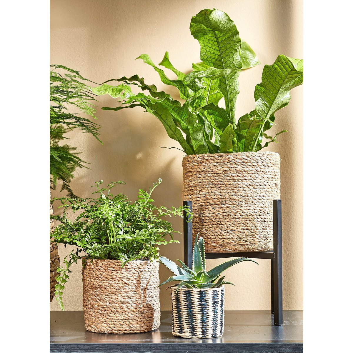 Ascot Plantenstandaard 37,5x37,5x39,5