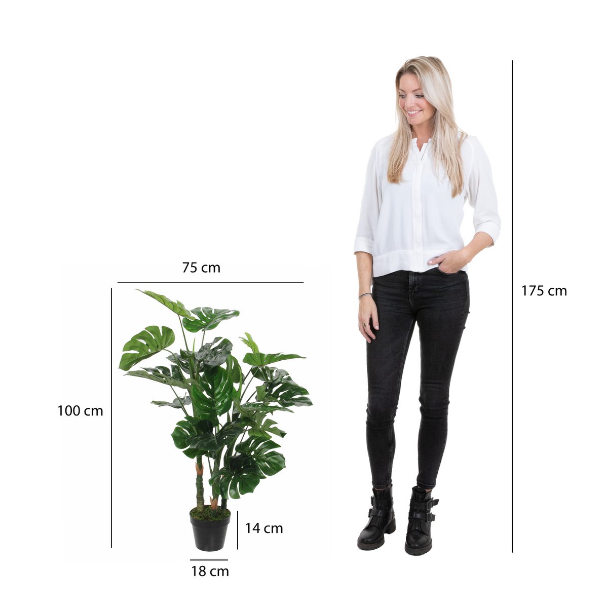Monstera Kunstplant H100 x Ć75