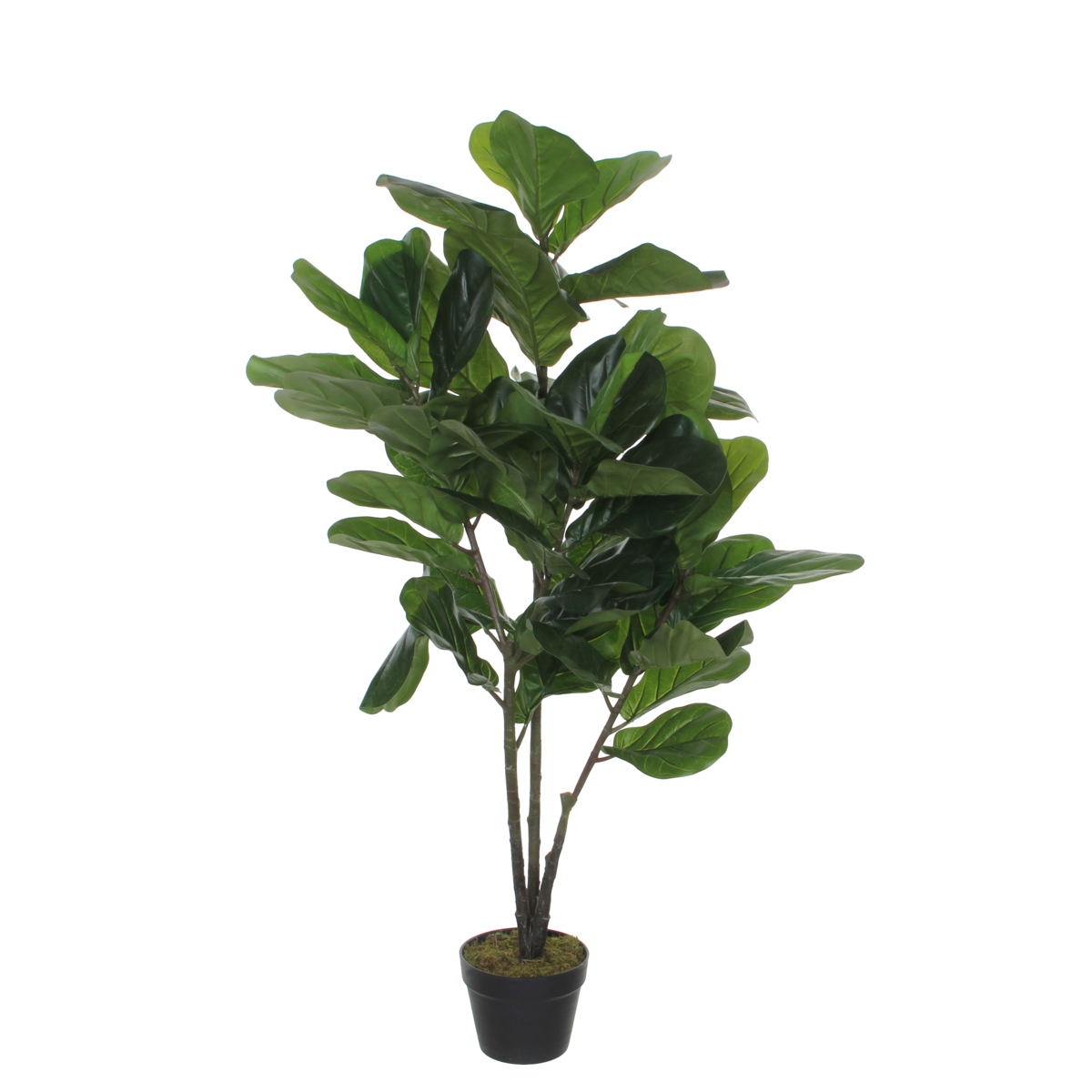 Ficus Lyrata Kunstplant H120 x Ø60