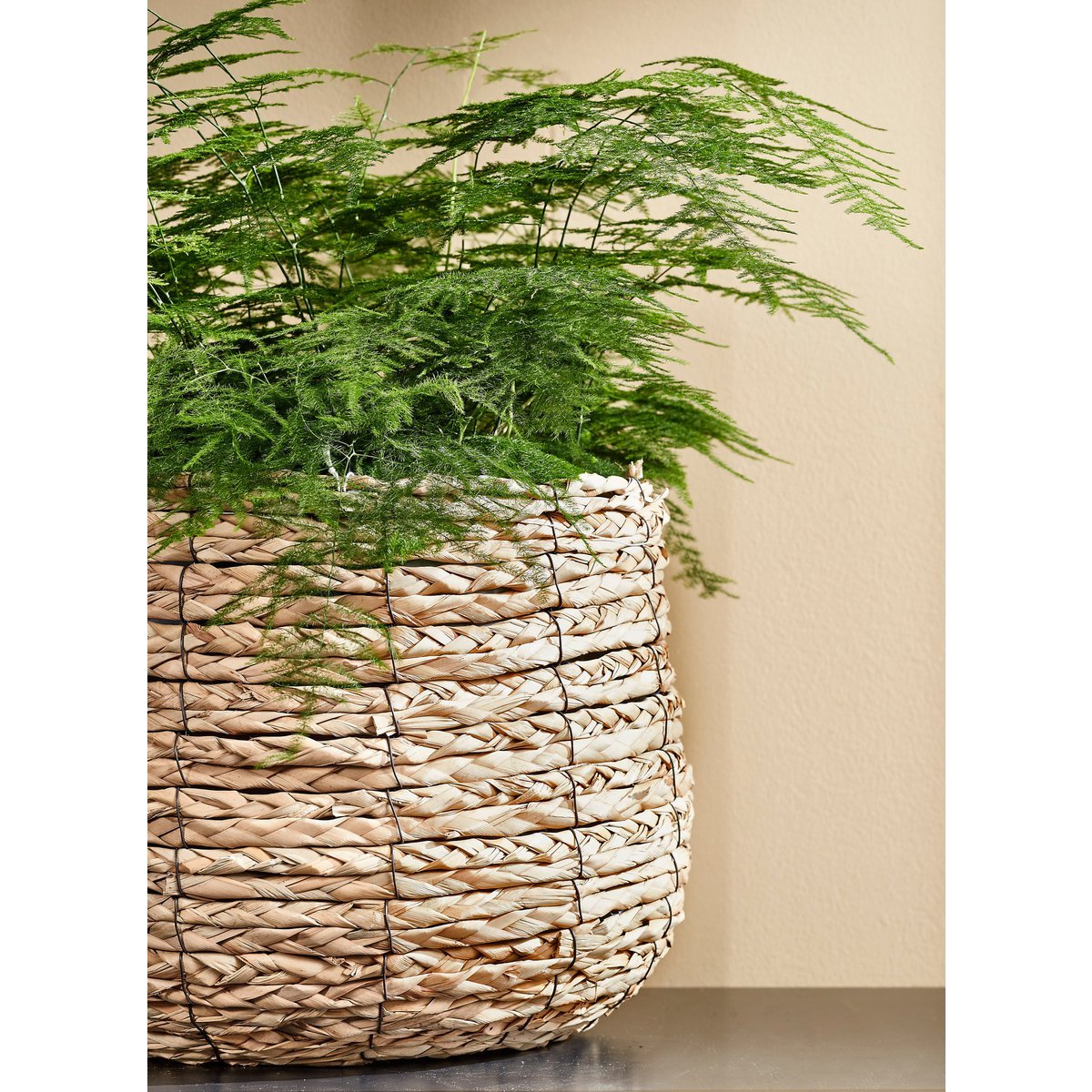 Avalon Plantenmand Set van 3 Klein