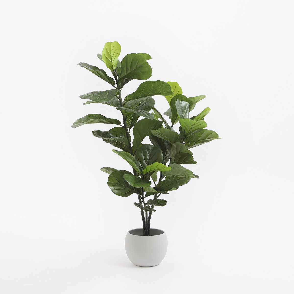 Ficus Lyrata Kunstplant H120 x Ø60