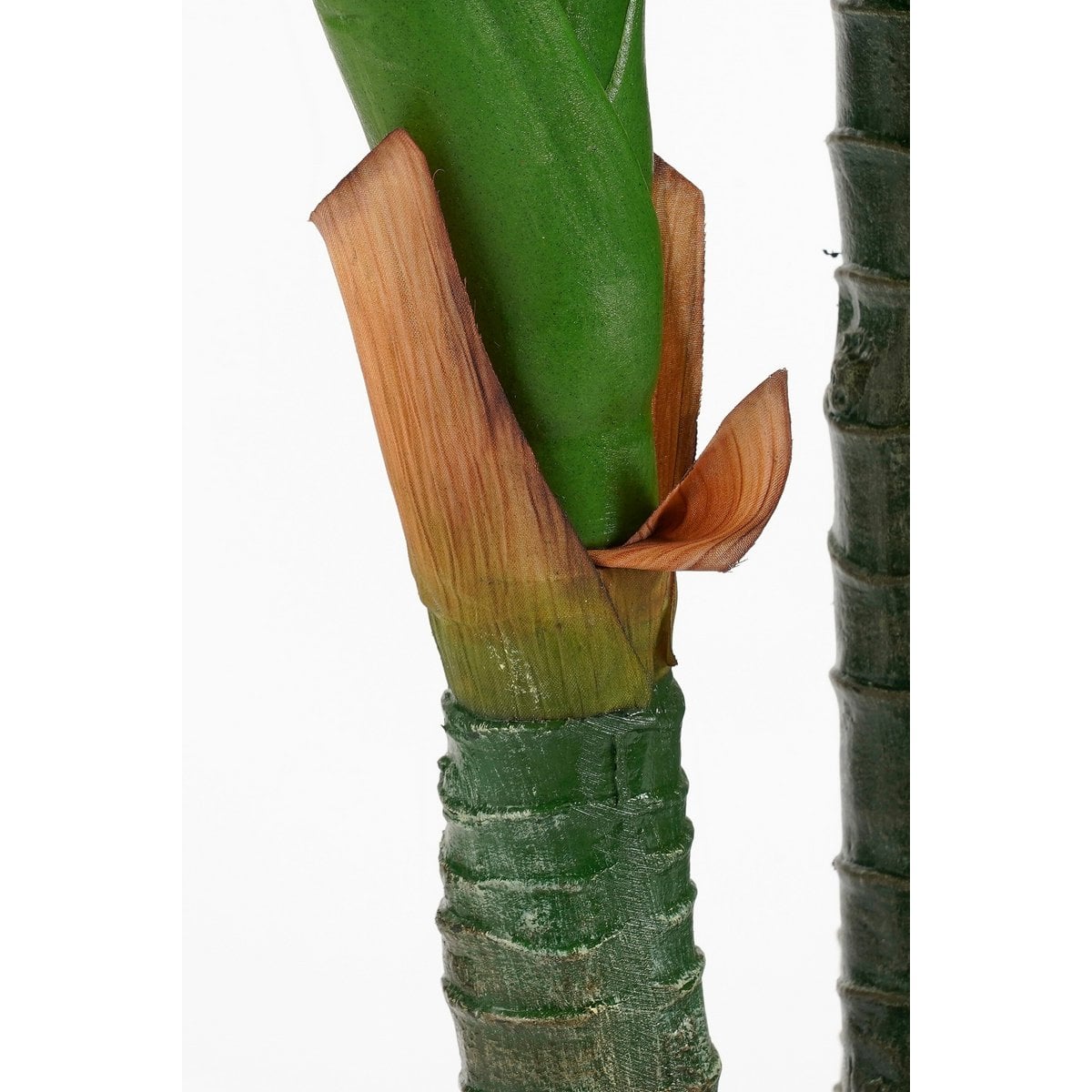 Dieffenbachia Kunstplant