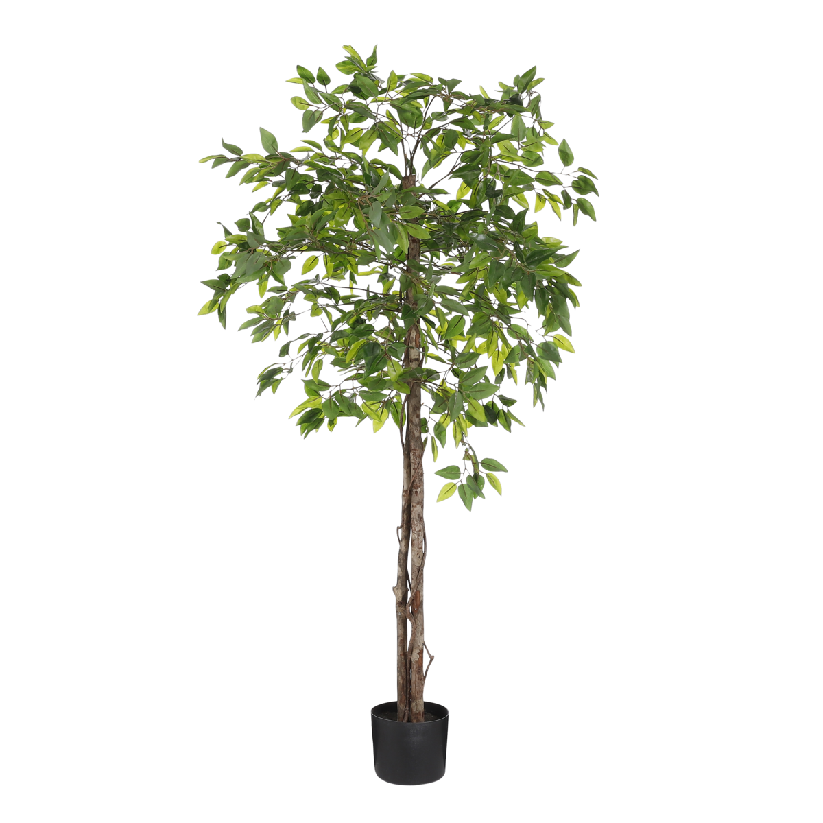 Ficus Kunstplant in Bloempot H150 x Ø50