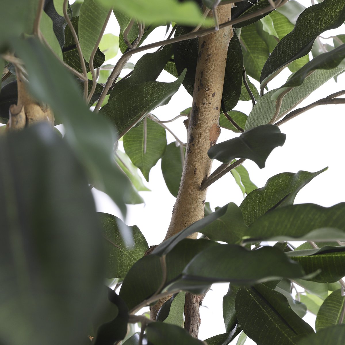 Ficus Kunstplant H110 x Ø65