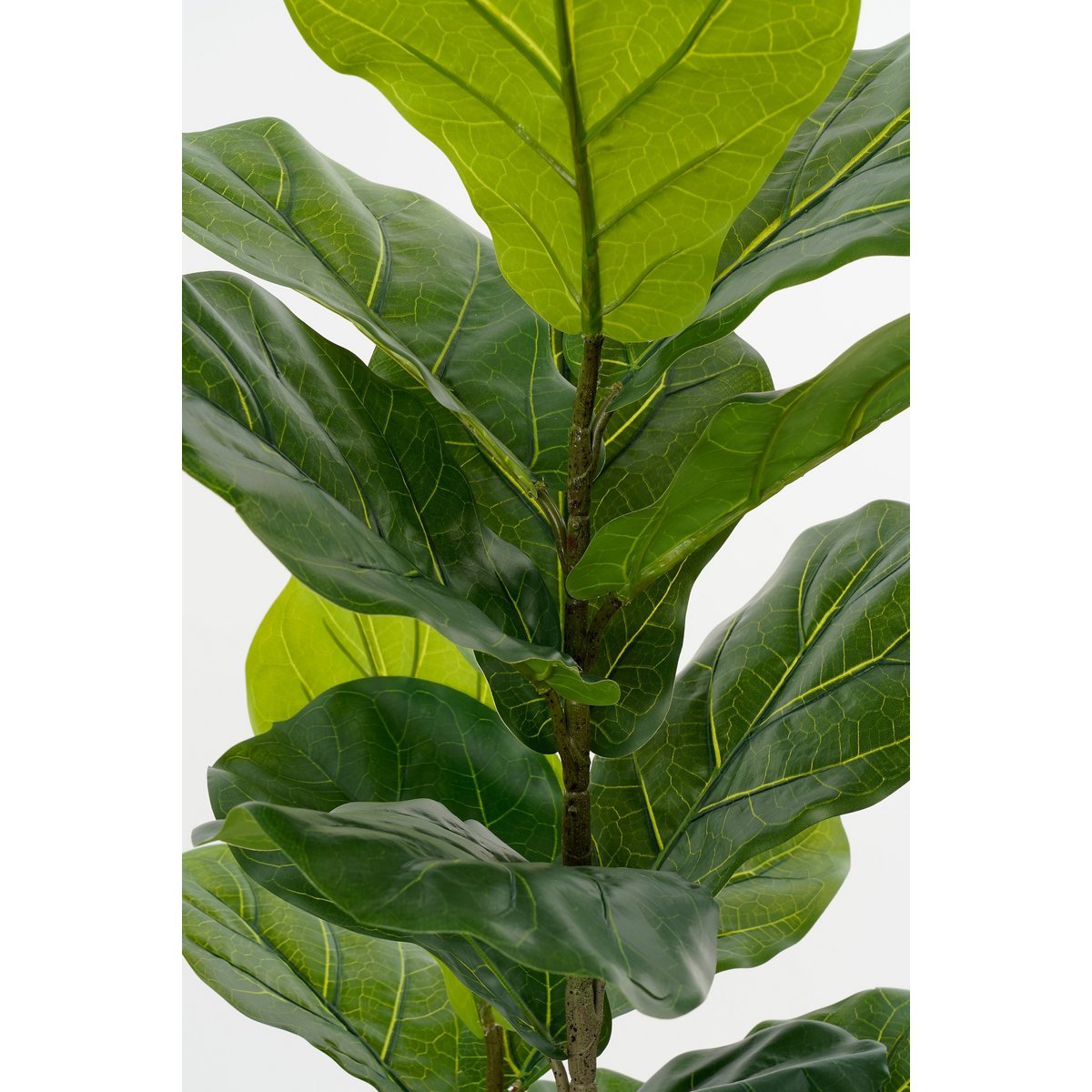 Ficus Lyrata Kunstplant in Pot H150 x Ø50