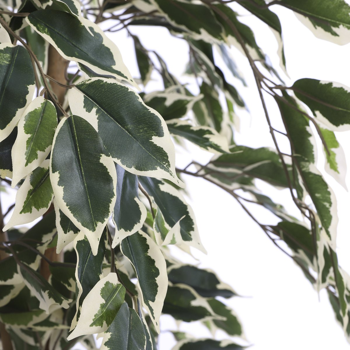 Ficus Kunstplant H150 x Ø75