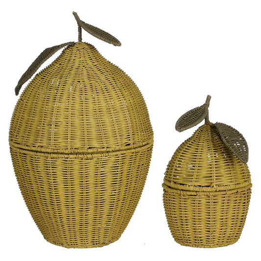 Opbergmand Lemoni Set van 2