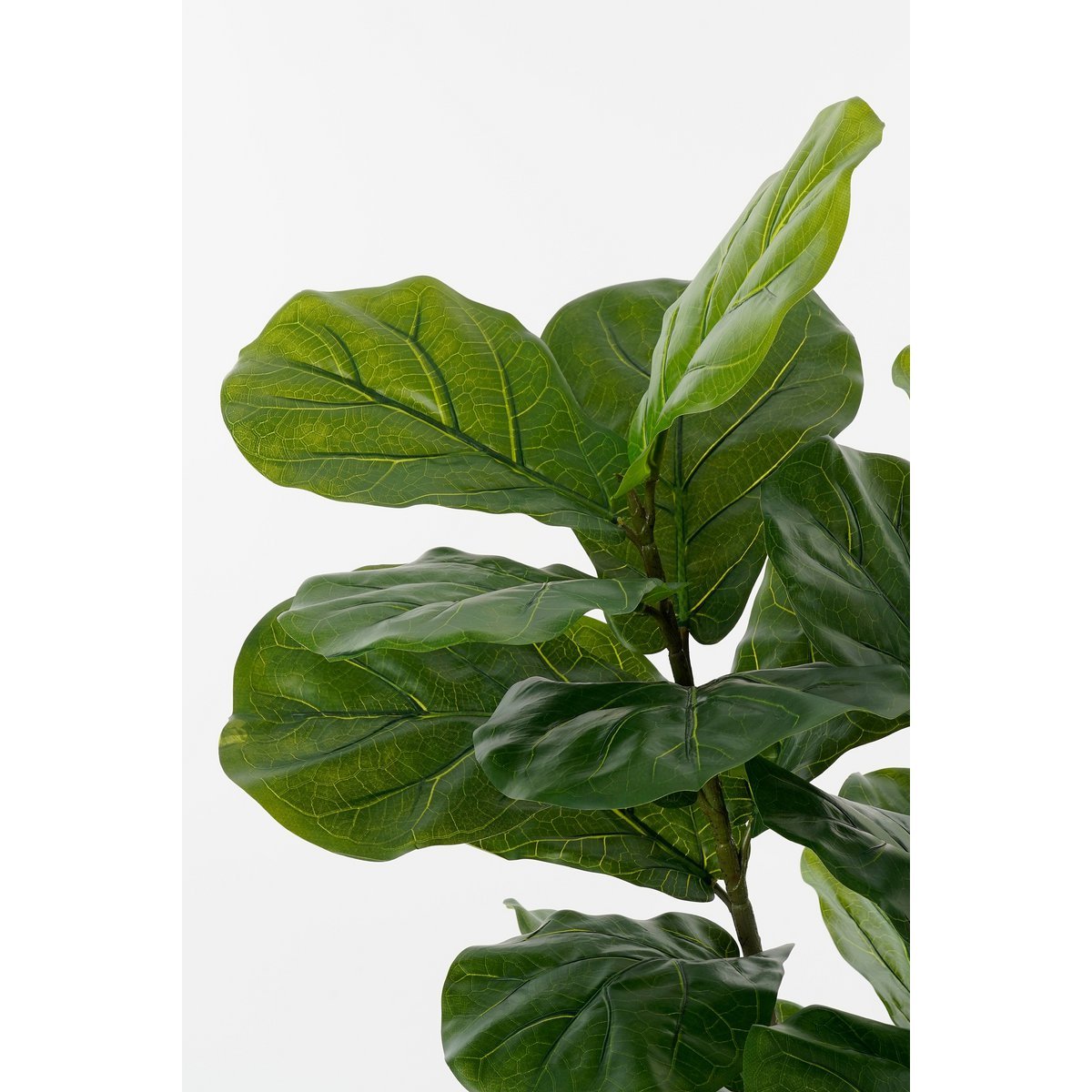 Ficus Lyrata Kunstplant in Pot H150 x Ø50
