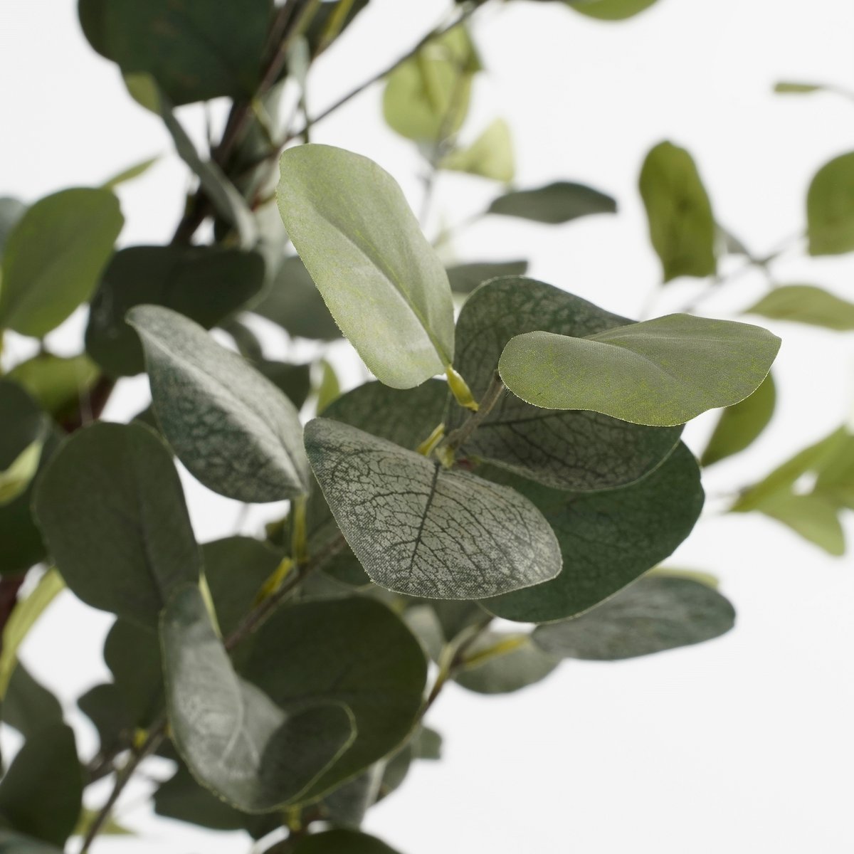 Kunstplant Eucalyptusboom in Pot