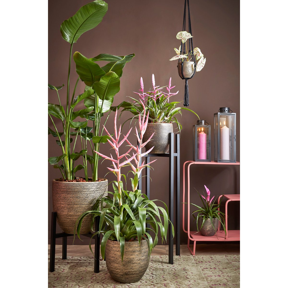 Ascot Plantenstandaard