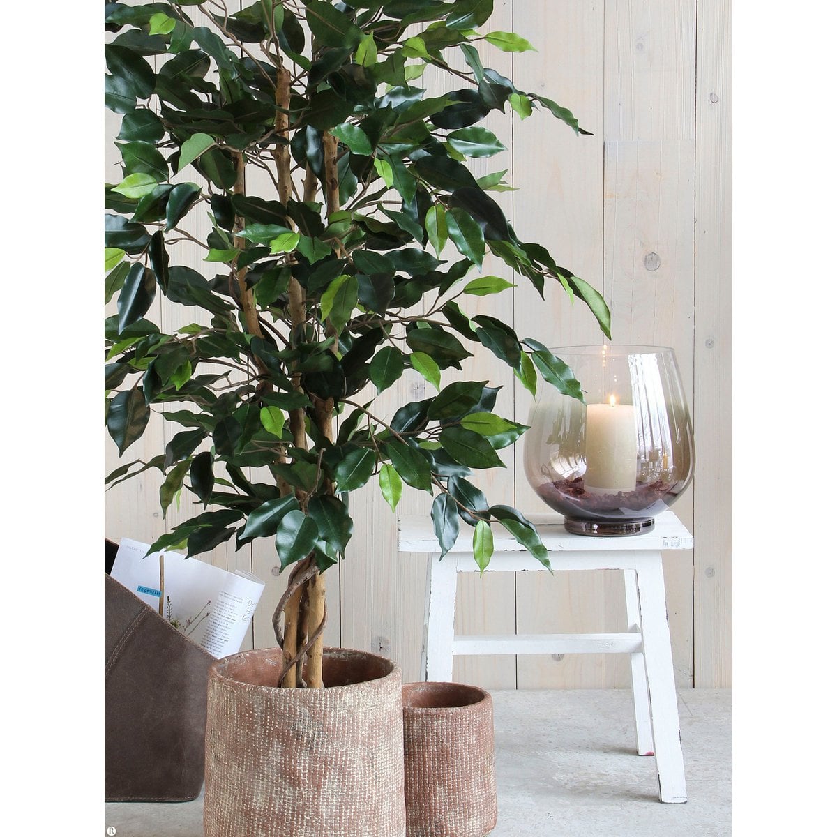 Ficus Kunstplant 150x85