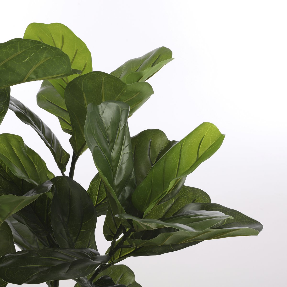 Ficus Lyrata Kunstplant H120 x Ø60