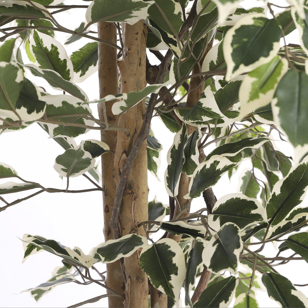 Ficus Kunstplant H180 x Ø90