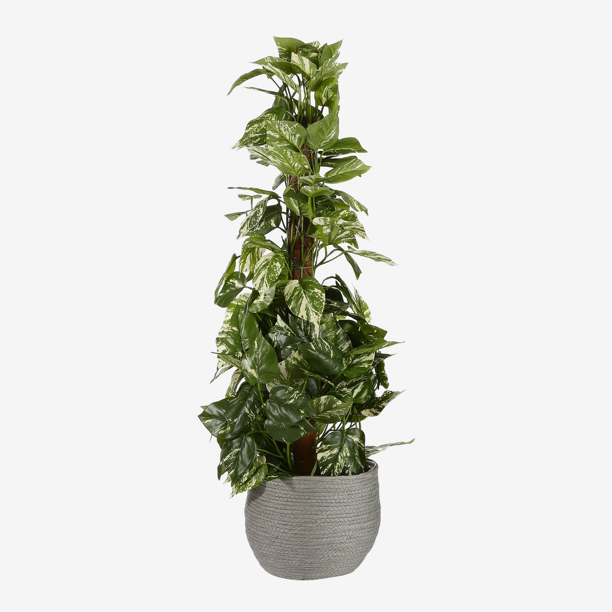 Jorck Pure Plantenmand Set van 3 Grijs
