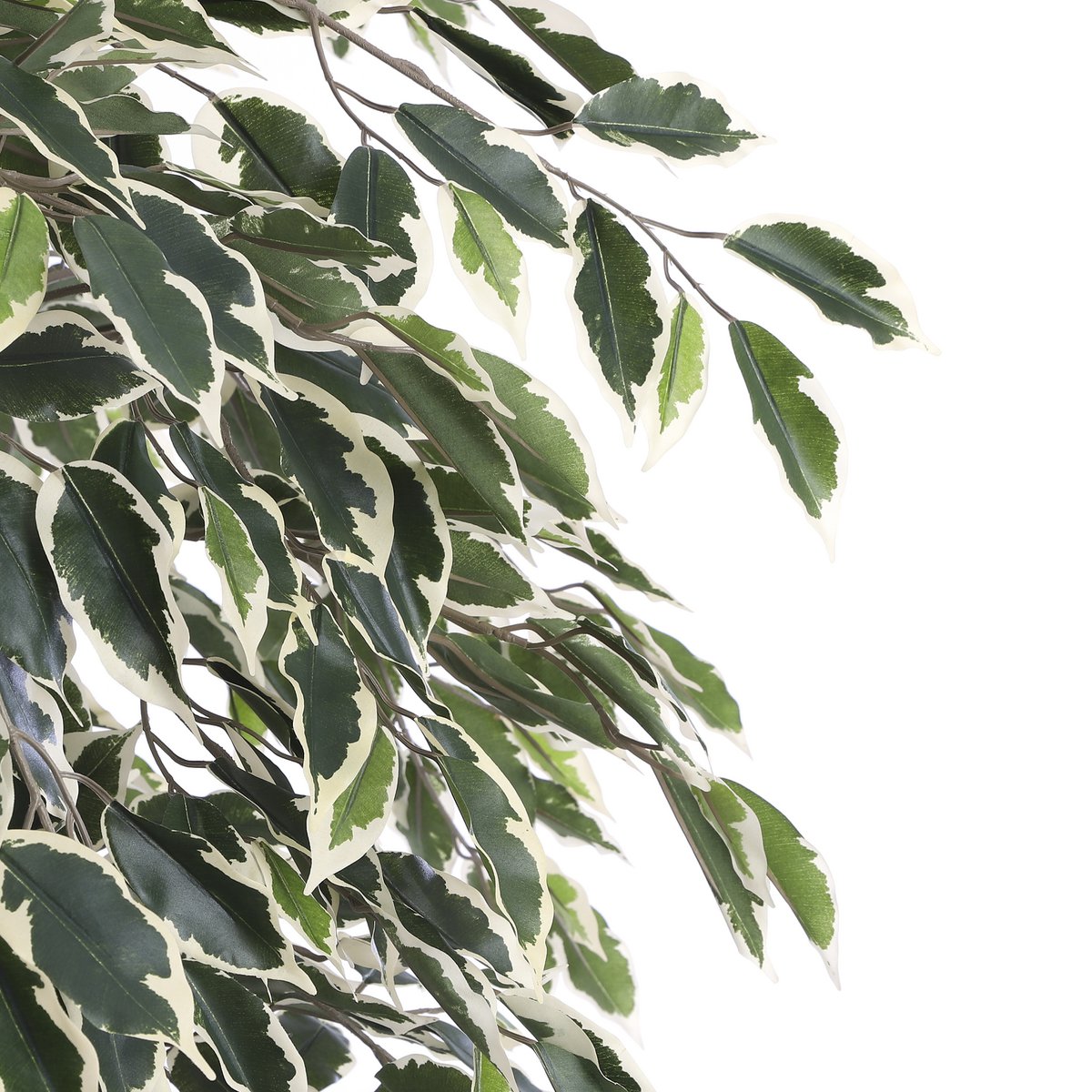 Ficus Kunstplant H180 x Ø90