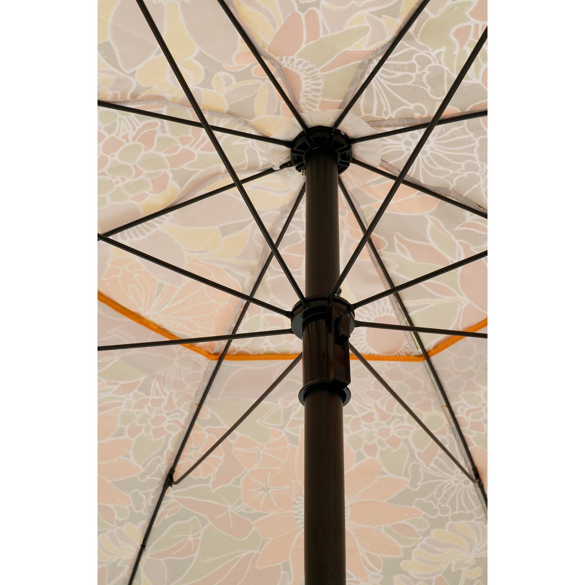 Bloem Parasol Bruin