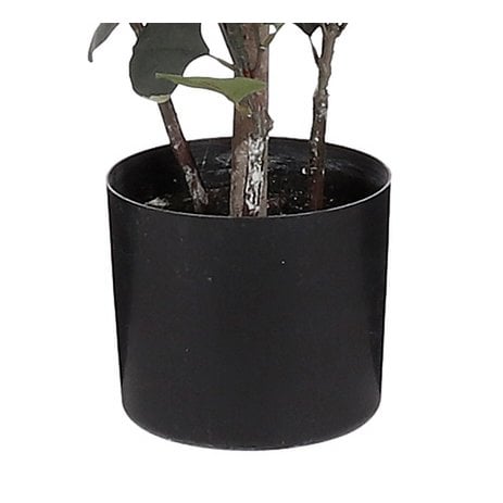Eucalyptus Kunstplant in Bloempot