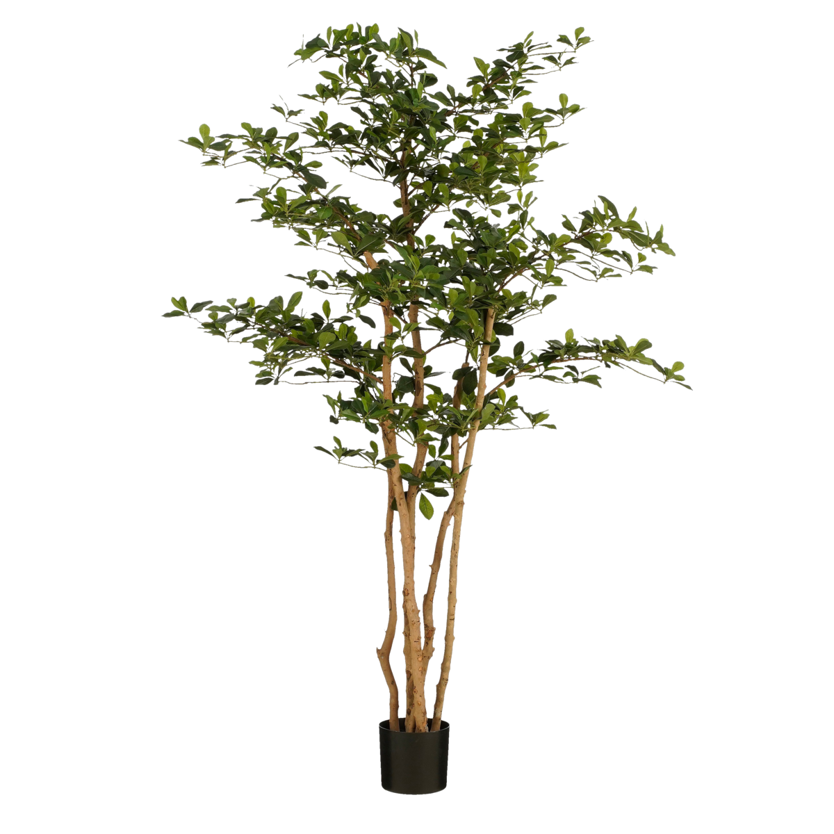 Kunstplant Olijfboom in Pot Groot