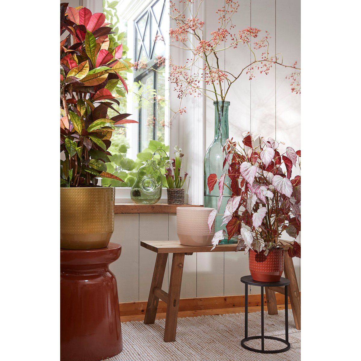 Rioja Fles Vaas - Glas - Groot