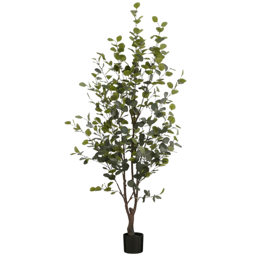 Kunstplant Eucalyptusboom in Pot