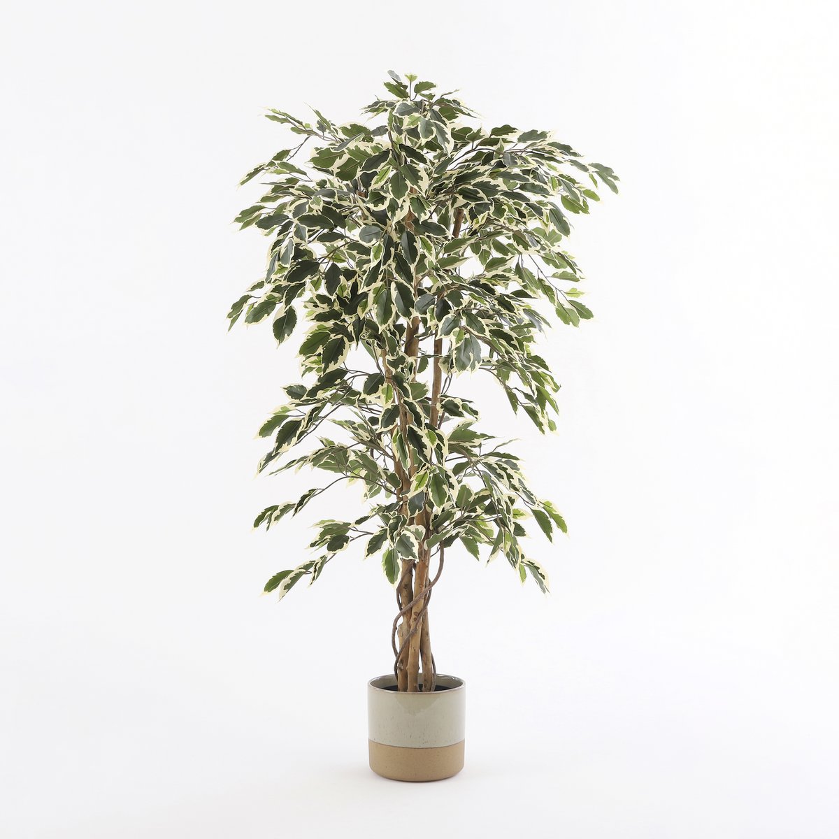 Ficus Kunstplant H150 x Ø75