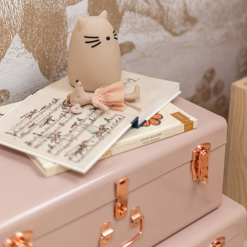 Blush Pink Opbergers
