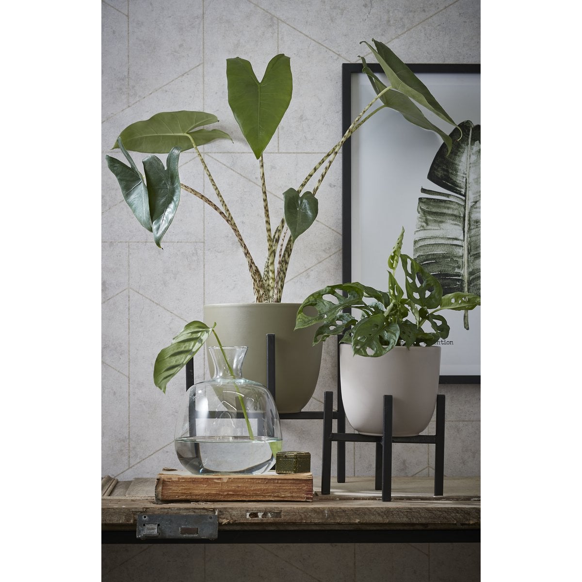 Ascot Plantenstandaard 24x24x25