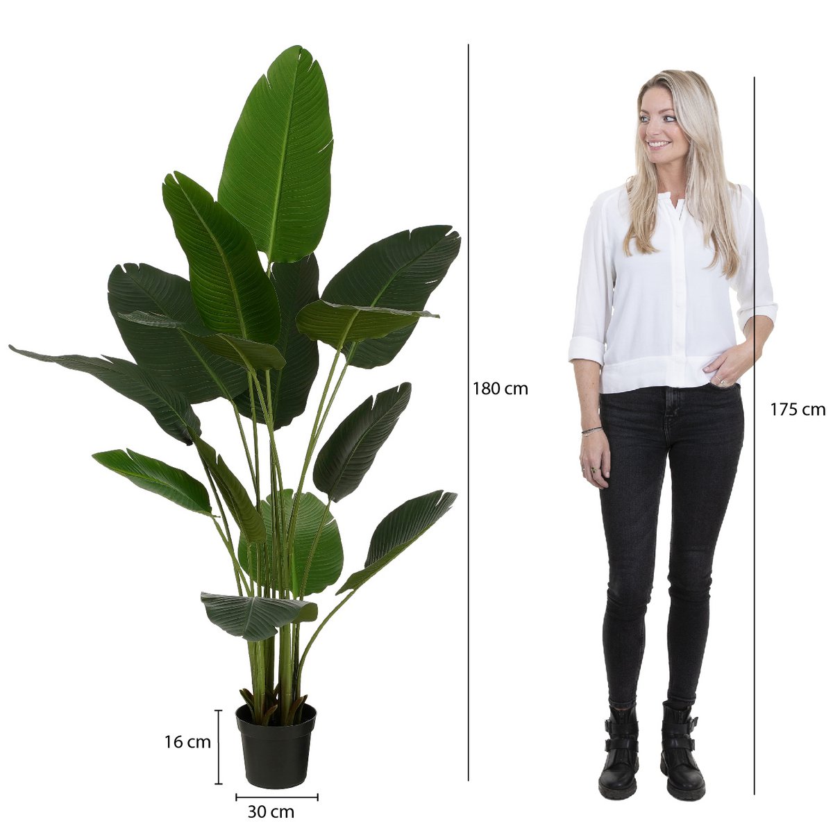 Kunstplant Bananenboom H180 x Ø30