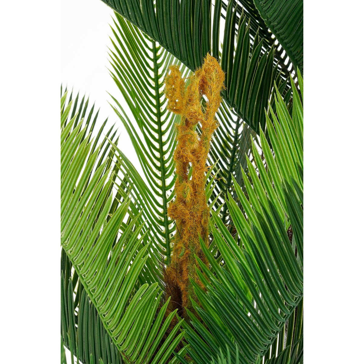 Cycas Kunstplant