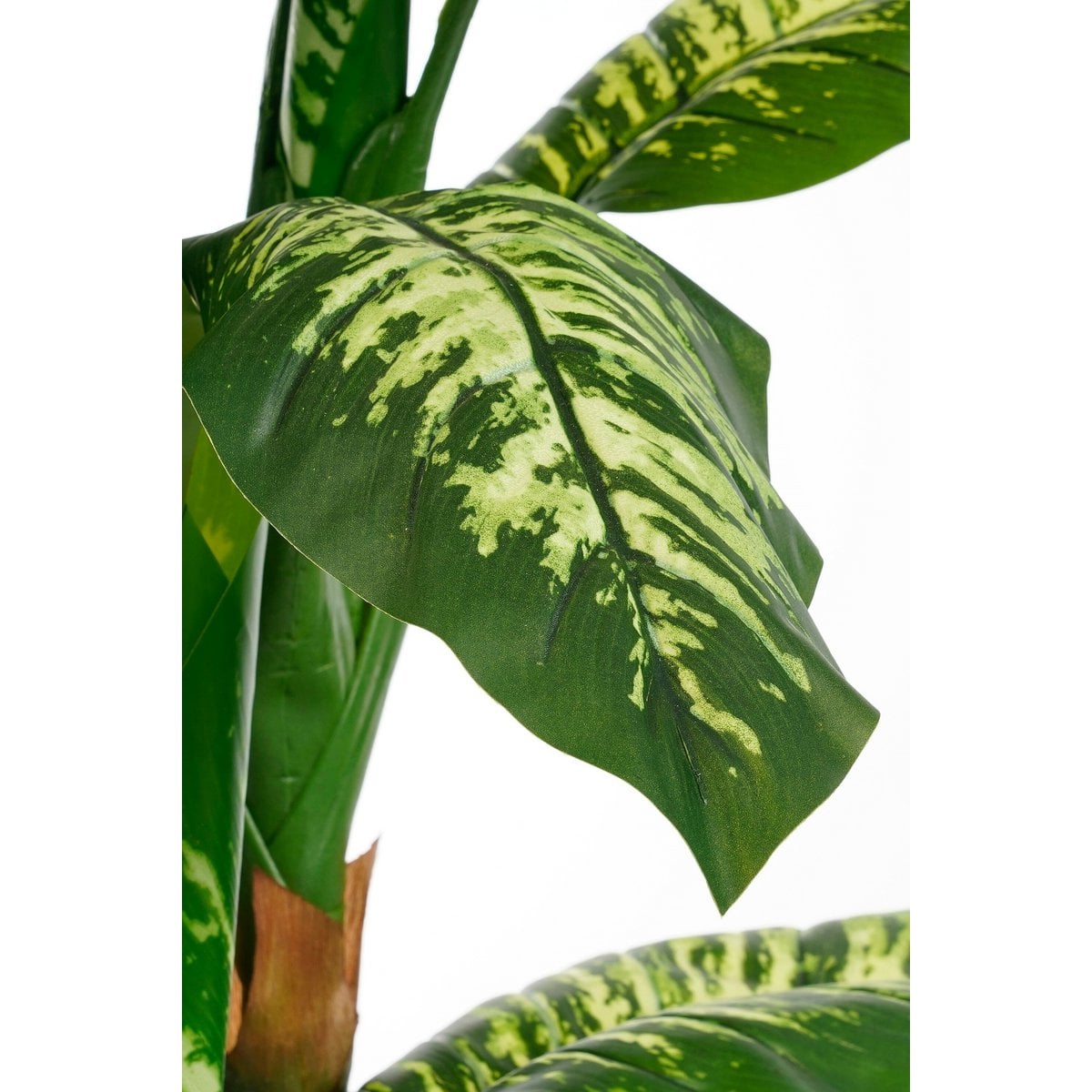 Dieffenbachia Kunstplant