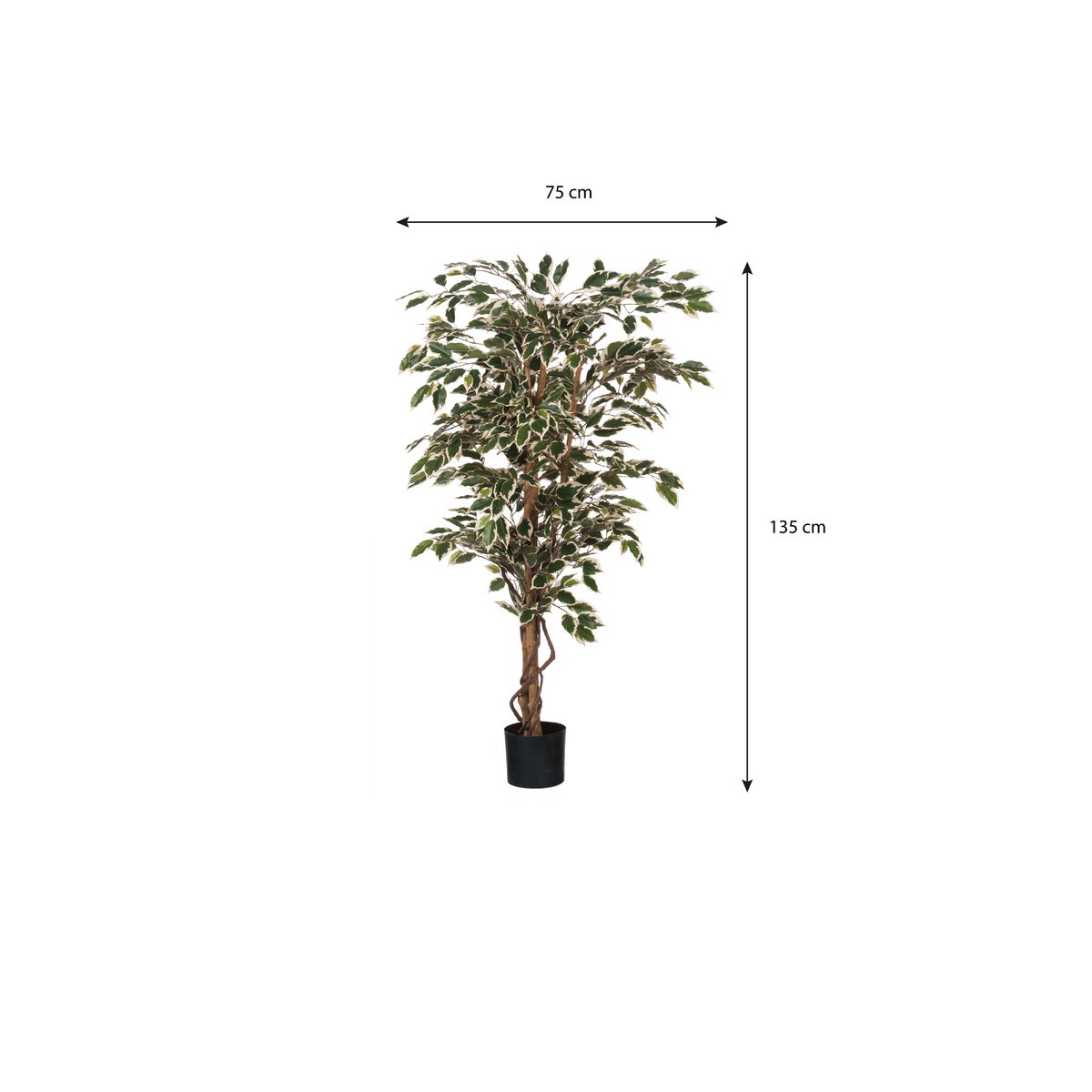 Ficus Kunstplant 150x75