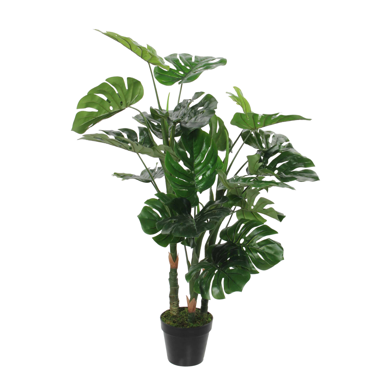 Monstera Kunstplant H100 x Ø75