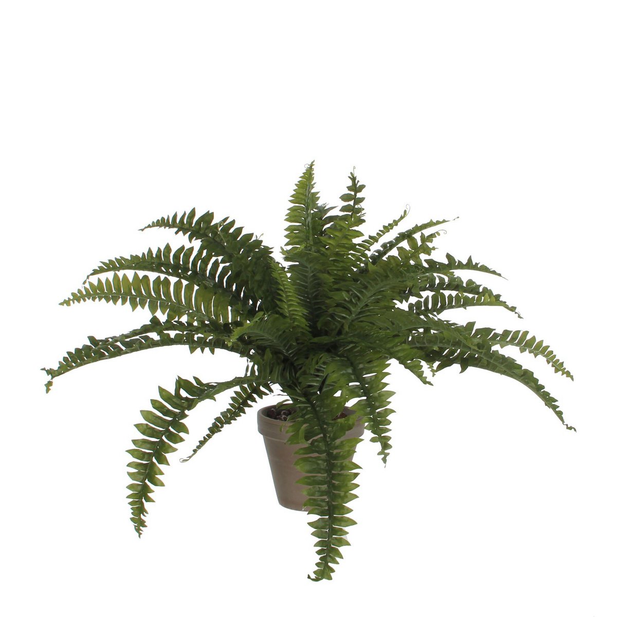 Fern Kunstplant