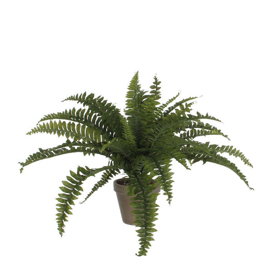 Fern Kunstplant