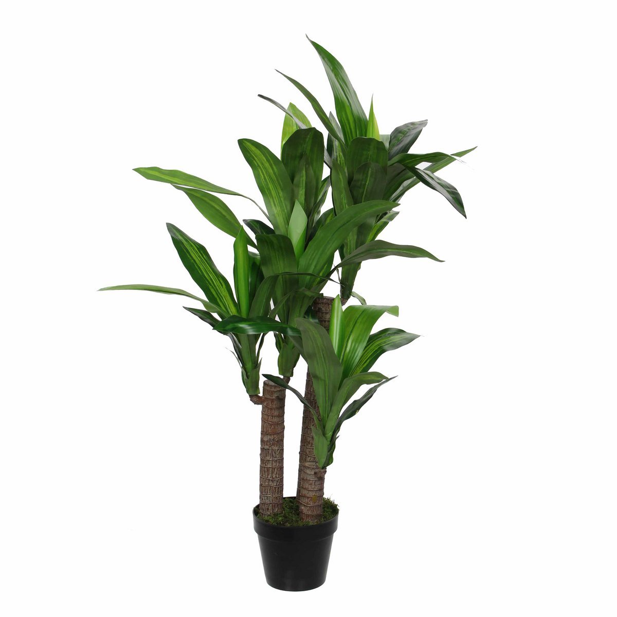 Dracaena Kunstplant - Groot