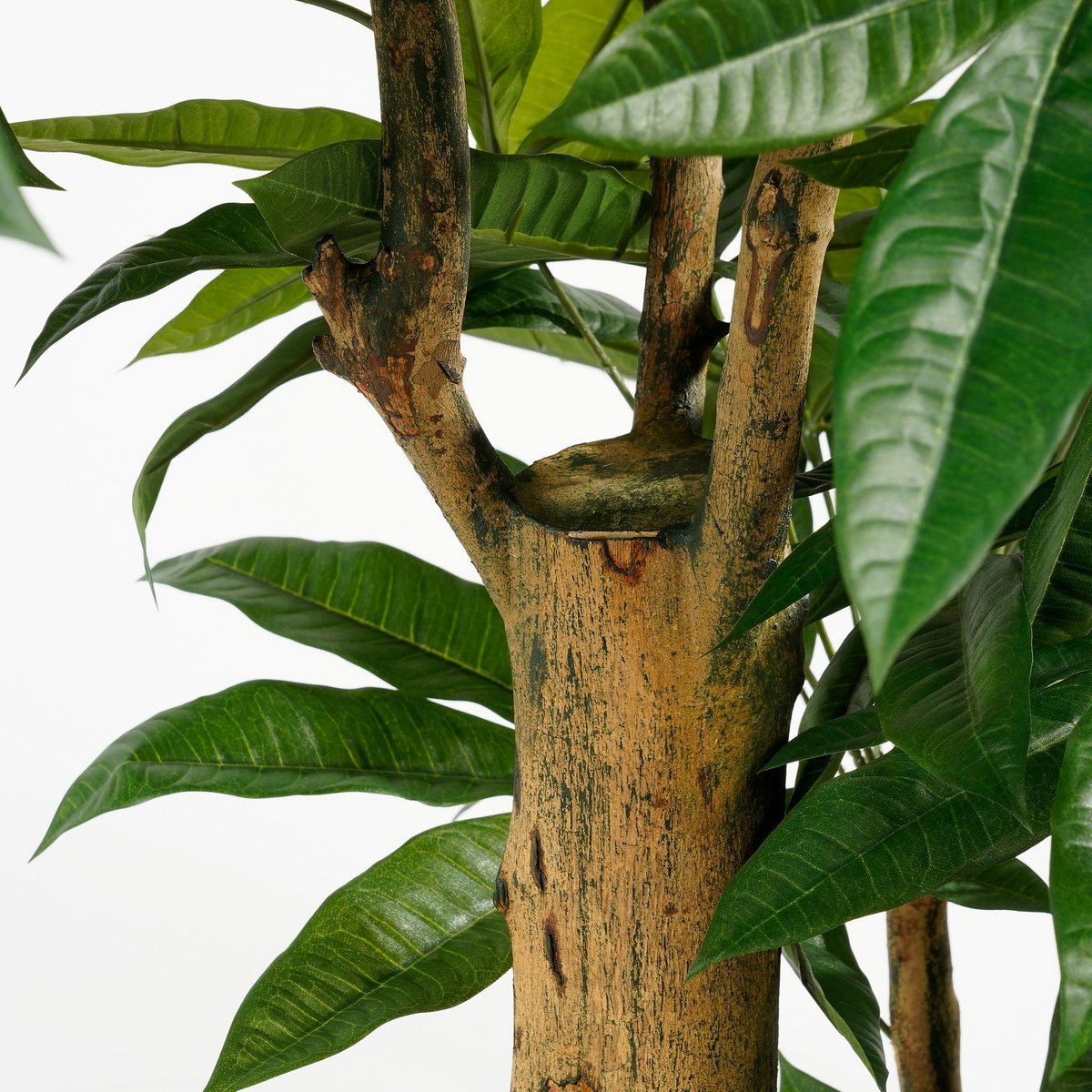 Pachira Kunstplant - XL