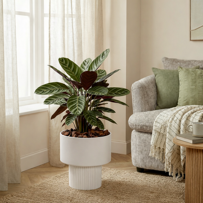 Lux - Bloempot - Wit