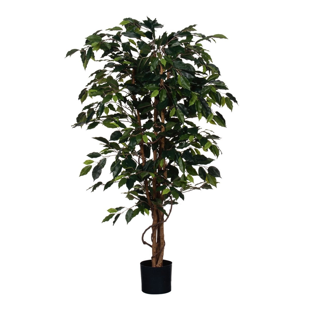 Ficus Kunstplant 150x85
