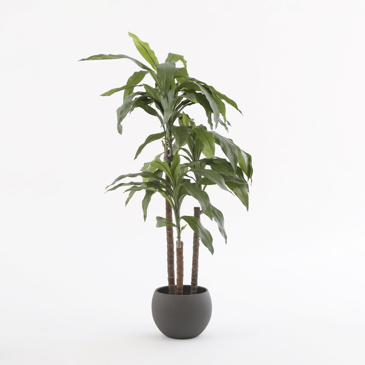 Dracaena Kunstplant - Klein