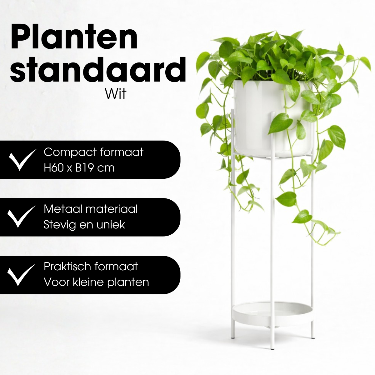 Colyn Bloempot - Wit