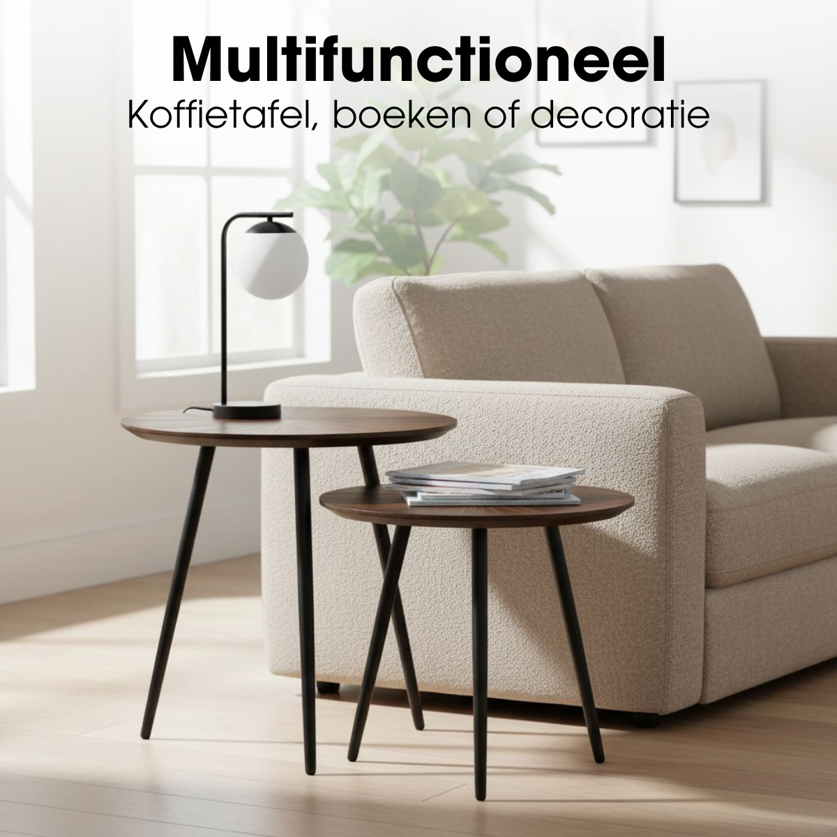 Dane Bijzettafel Set van 2